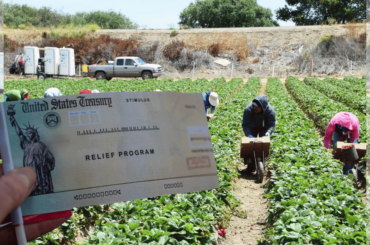 Trabajadores agrícolas y un cheque de estímulo - Subsidio para trabajadores agrícolas
