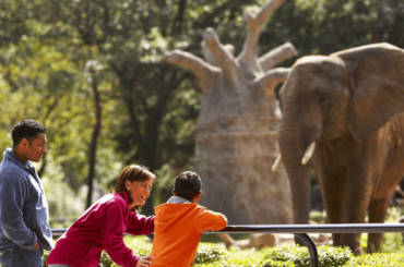 Museos y zoológicos gratis